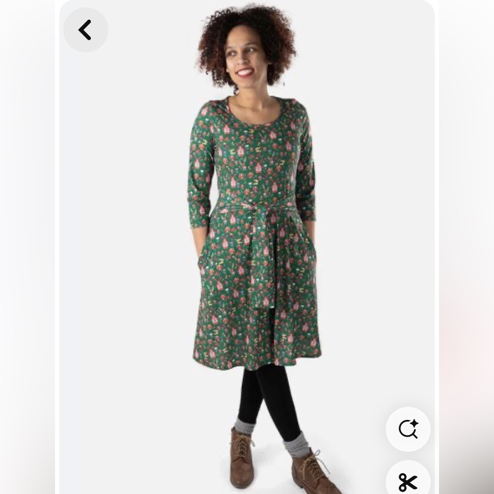 Popsy Hilton dress
